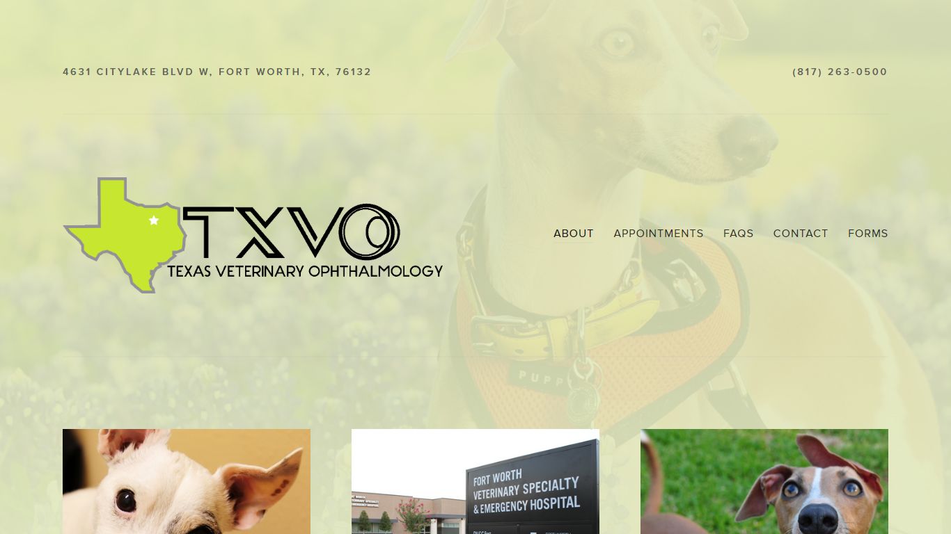 Texas Veterinary Ophthalmology — About
