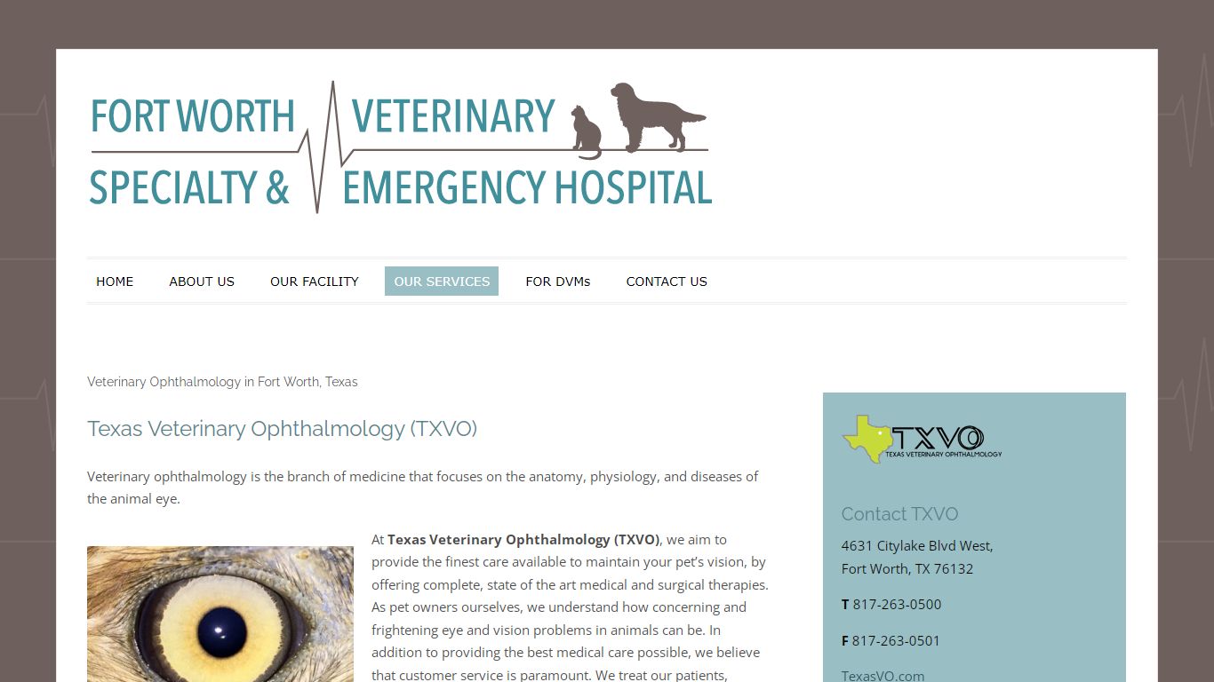 Veterinary Ophthalmology in Fort Worth, Texas